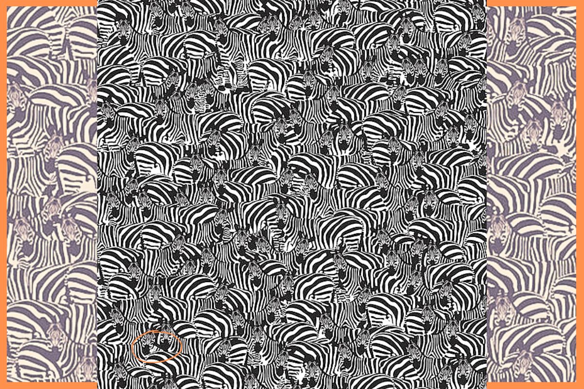 optical illusion - find the piano hidden among the zebras - solution