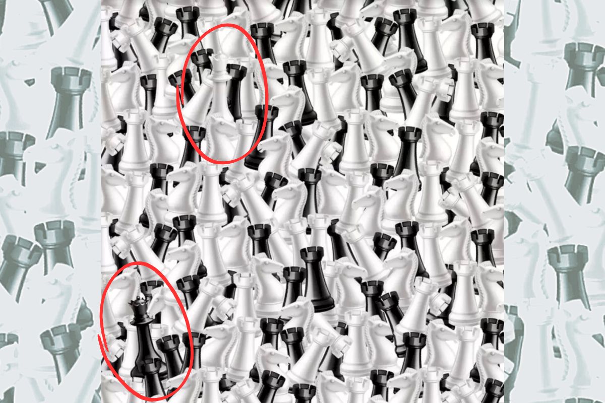 Optical illusion - find the white queen and the black queen - solution