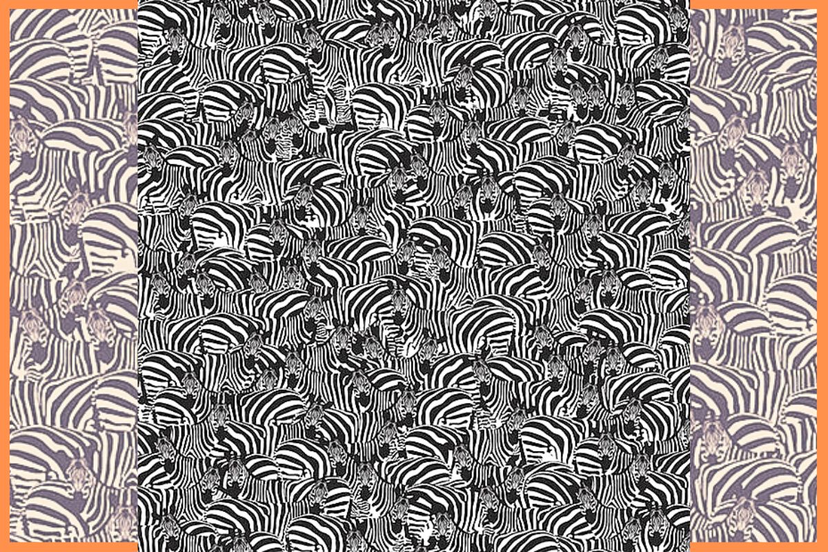 optical illusion - find the piano hidden among the zebras - challenge