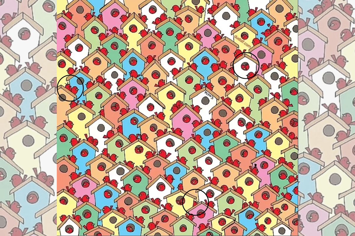 visual challenge - find the 3 apples - solution