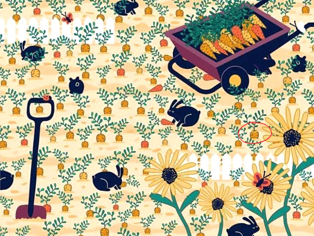 Visual challenge - find the lost gold ring in the vegetable garden - solution