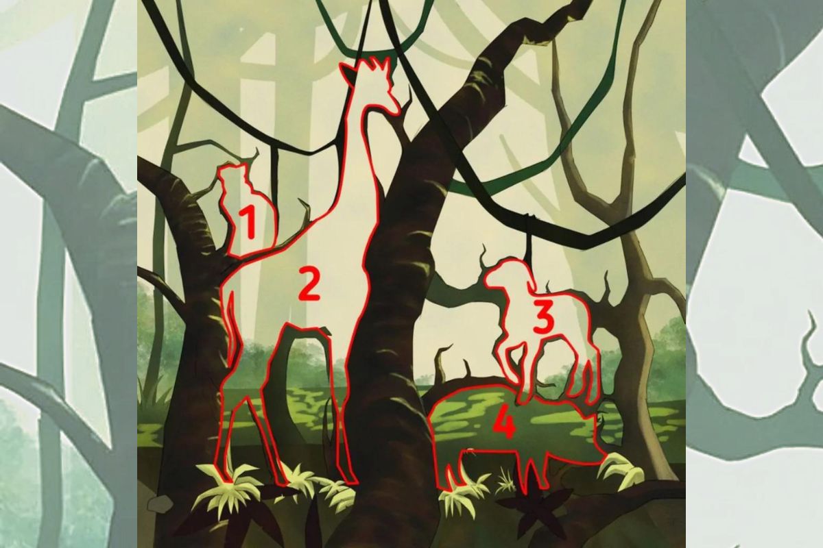 visual challenge - find the animals in the forest - solution
