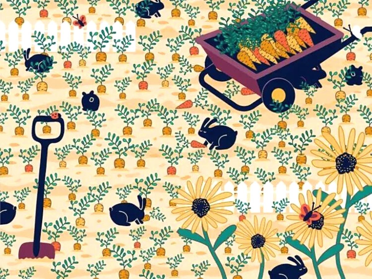 Visual challenge - find the lost gold ring in the vegetable garden