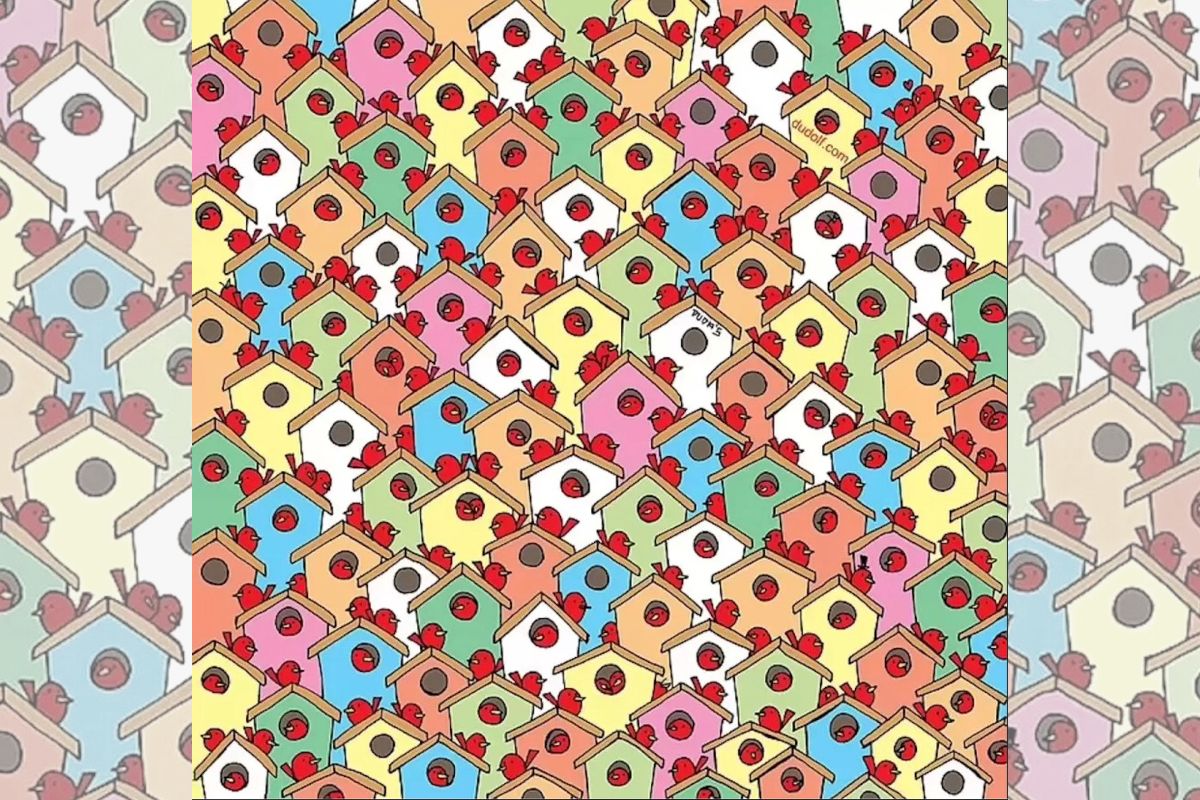 visual challenge - find the 3 apples - challenge