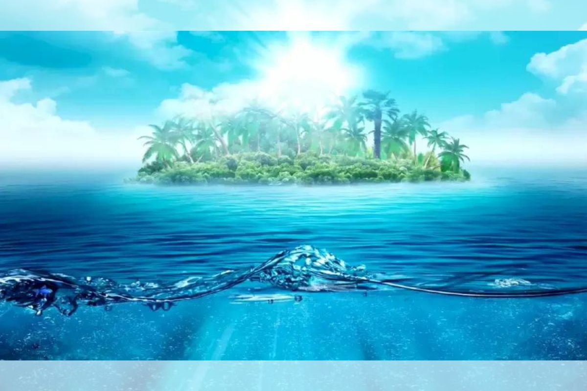 visual challenge _ find the hidden fish in less than 12 seconds