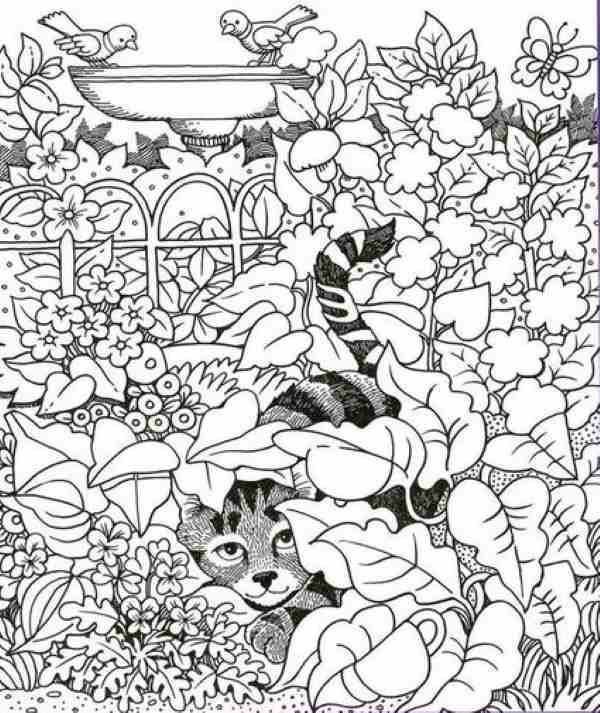 Find the hidden funnel