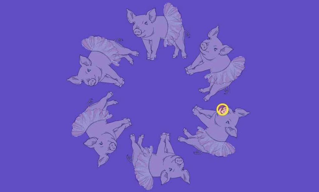 find the different pig