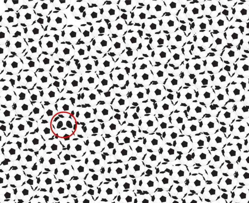 find hidden objects picture puzzles iq test