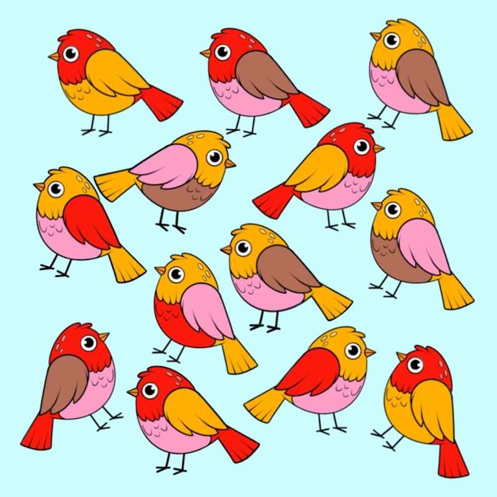 bird that has no double