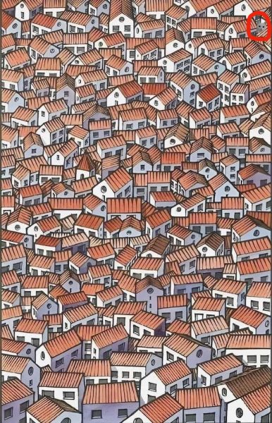 solution where the cat hides among the houses